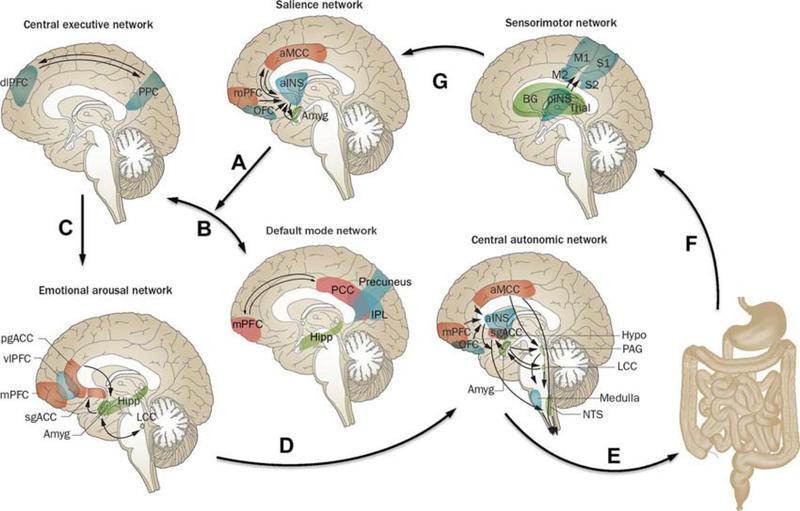 https://cdn.ncbi.nlm.nih.gov/pmc/blobs/f0c6/6999847/db23ec3789cb/nihms-1043705-f0002.jpg