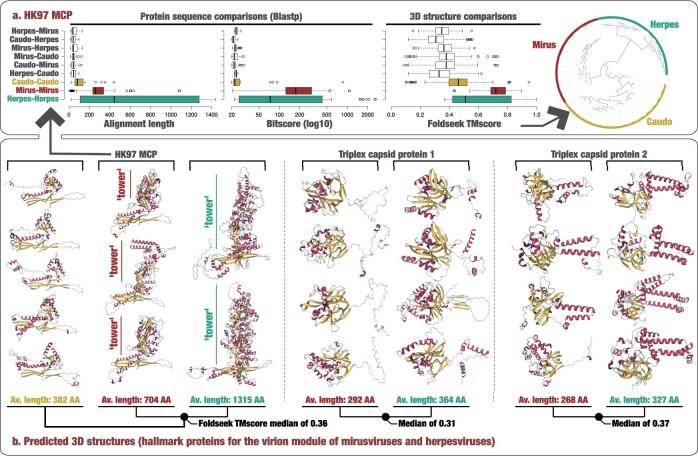 https://cdn.ncbi.nlm.nih.gov/pmc/blobs/f0c7/10132985/0e49f8dd1ccf/41586_2023_5962_Fig8_ESM.jpg