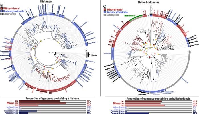 https://cdn.ncbi.nlm.nih.gov/pmc/blobs/f0c7/10132985/9d76b01a6127/41586_2023_5962_Fig12_ESM.jpg