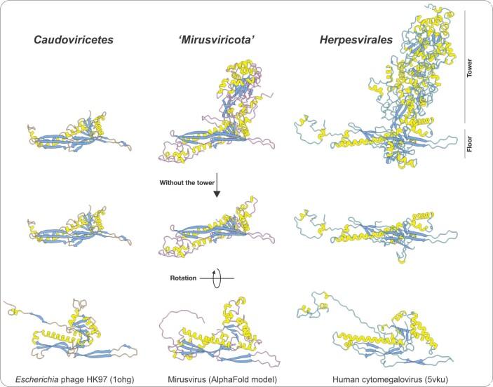 https://cdn.ncbi.nlm.nih.gov/pmc/blobs/f0c7/10132985/a822d23849fb/41586_2023_5962_Fig7_ESM.jpg