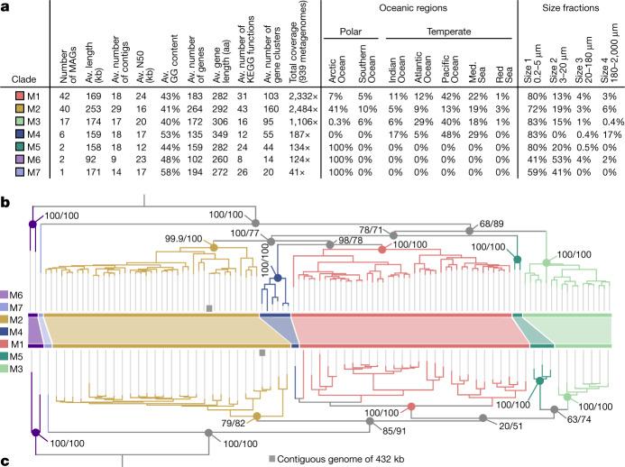 https://cdn.ncbi.nlm.nih.gov/pmc/blobs/f0c7/10132985/c69e292ad075/41586_2023_5962_Fig2_HTML.jpg