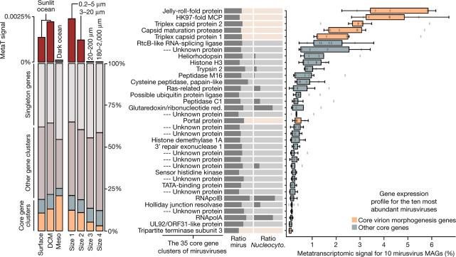 https://cdn.ncbi.nlm.nih.gov/pmc/blobs/f0c7/10132985/cc1999fb7661/41586_2023_5962_Fig3_HTML.jpg