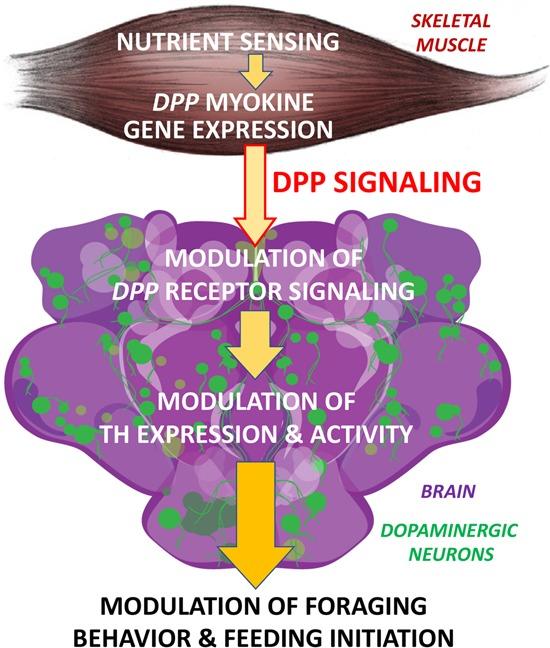 https://cdn.ncbi.nlm.nih.gov/pmc/blobs/f0c7/6938663/754f00fe152a/37f07.jpg
