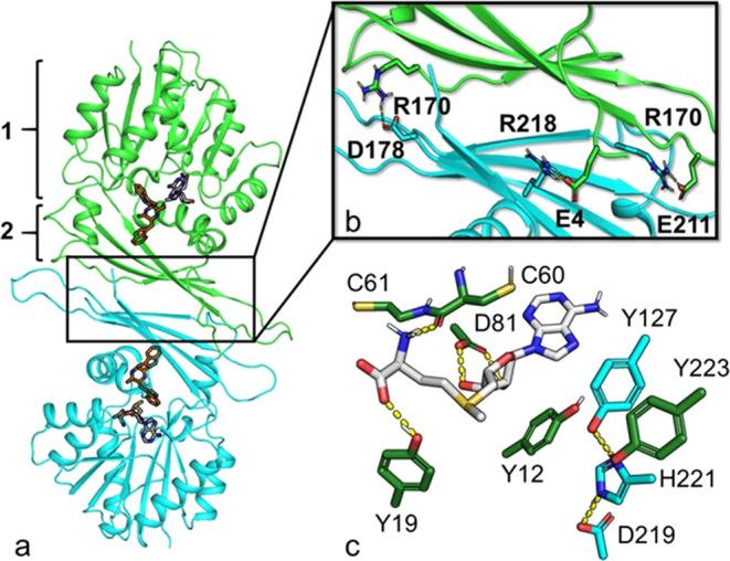https://cdn.ncbi.nlm.nih.gov/pmc/blobs/f0c8/10775177/ac8c0c0c5e4c/cs3c04952_0004.jpg