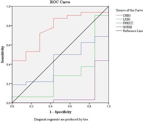 https://cdn.ncbi.nlm.nih.gov/pmc/blobs/f0c8/10865414/c05d780dc5c0/IID3-12-e1186-g007.jpg