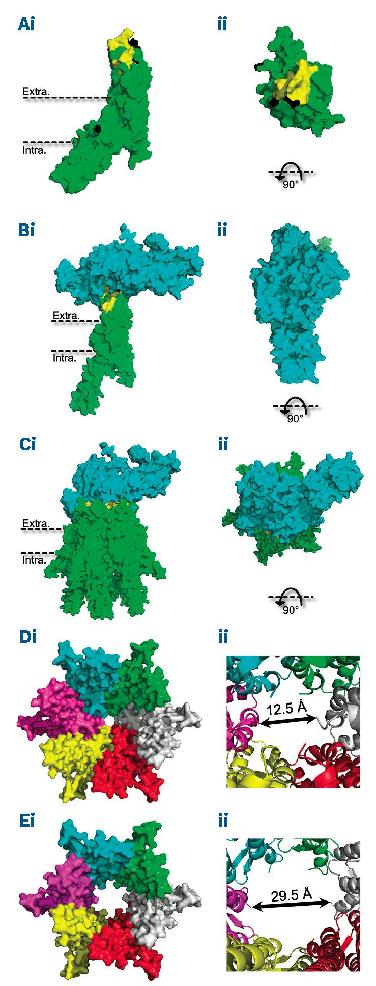 https://cdn.ncbi.nlm.nih.gov/pmc/blobs/f0c8/12358790/24b68fbc8c55/1101822.fig3.jpg