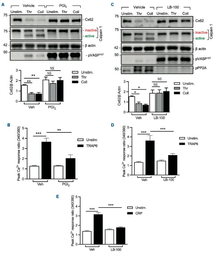 https://cdn.ncbi.nlm.nih.gov/pmc/blobs/f0c8/12358790/ab8f3b99f909/1101822.fig5.jpg