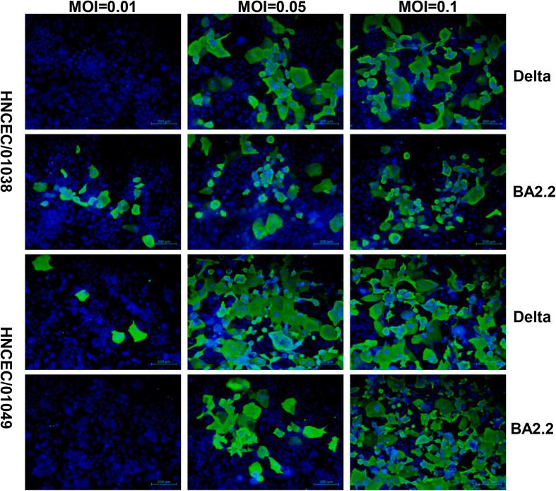https://cdn.ncbi.nlm.nih.gov/pmc/blobs/f0ca/11064458/d3cbdb324e24/mmcfigs4.jpg