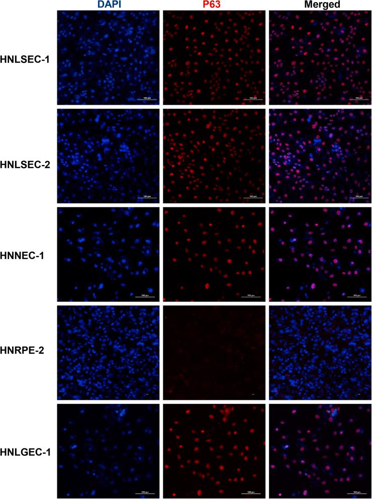 https://cdn.ncbi.nlm.nih.gov/pmc/blobs/f0ca/11064458/ee060f871e7f/mmcfigs1.jpg