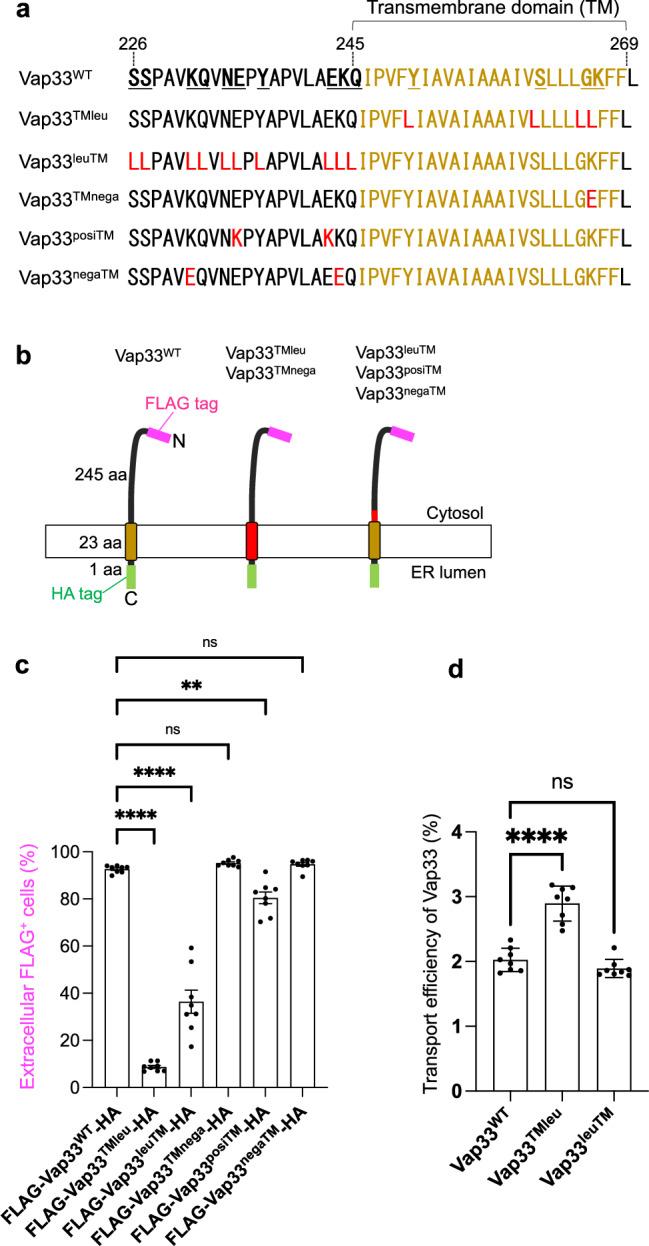 https://cdn.ncbi.nlm.nih.gov/pmc/blobs/f0ca/11467184/46af921123f6/41467_2024_53097_Fig5_HTML.jpg