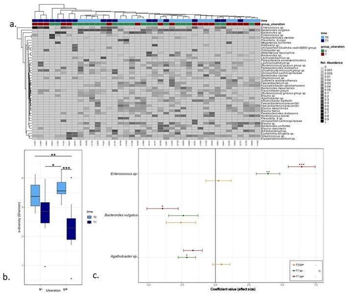 https://cdn.ncbi.nlm.nih.gov/pmc/blobs/f0ca/12291438/a9b0bc578453/ODI-31-1776-g001.jpg
