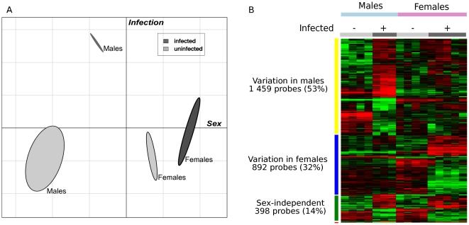 https://cdn.ncbi.nlm.nih.gov/pmc/blobs/f0cb/2921390/3e43608af7c2/pone.0012190.g001.jpg