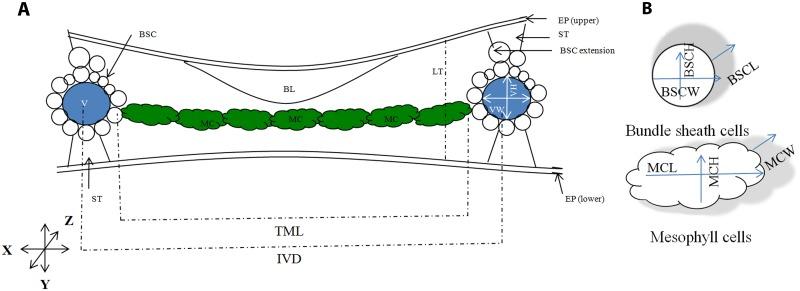 https://cdn.ncbi.nlm.nih.gov/pmc/blobs/f0d2/5085062/90b1a439175c/pone.0164532.g001.jpg