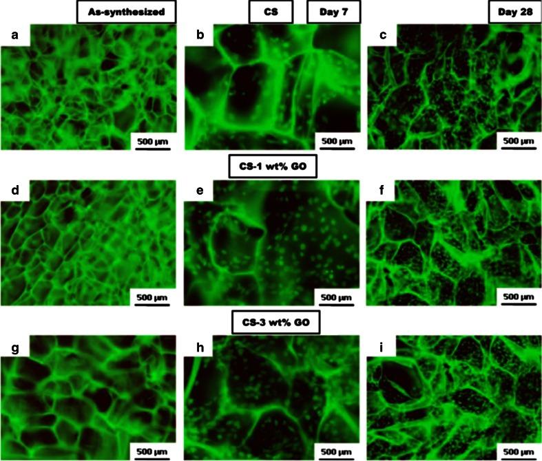 https://cdn.ncbi.nlm.nih.gov/pmc/blobs/f0d4/4201927/e8cce03430b0/204_2014_1361_Fig7_HTML.jpg