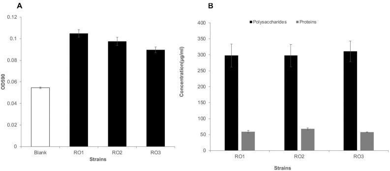 https://cdn.ncbi.nlm.nih.gov/pmc/blobs/f0d4/8328090/a923448e6321/fmicb-12-668761-g002.jpg