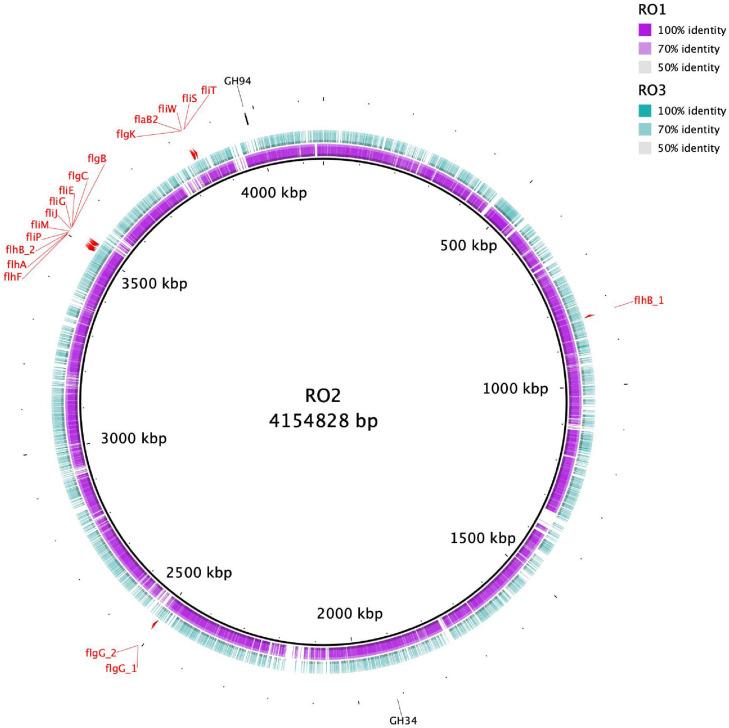 https://cdn.ncbi.nlm.nih.gov/pmc/blobs/f0d4/8328090/d4ebdeed6b87/fmicb-12-668761-g001.jpg