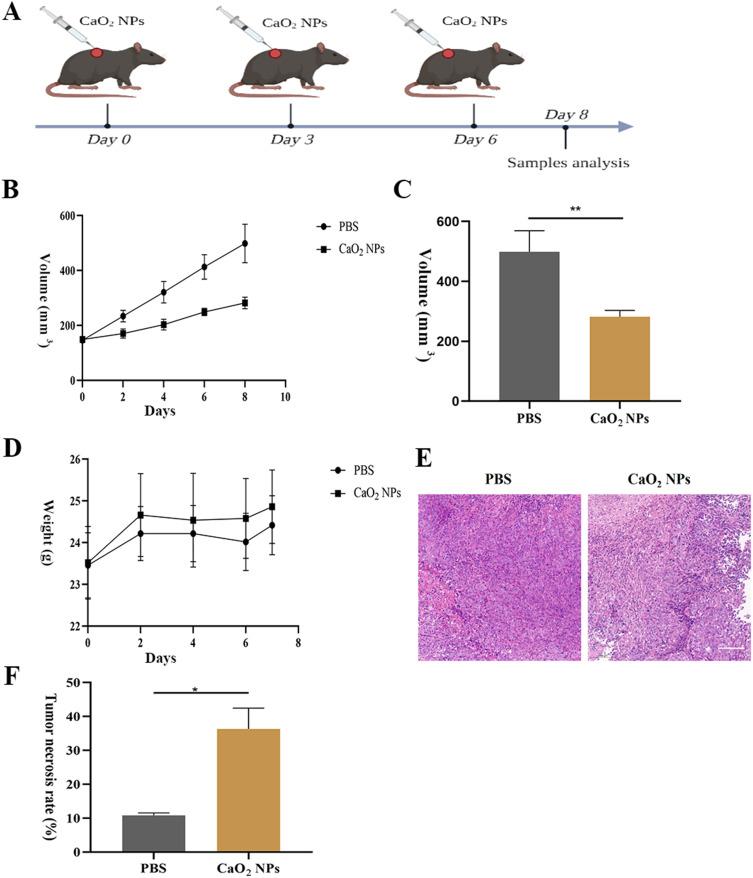 https://cdn.ncbi.nlm.nih.gov/pmc/blobs/f0d5/10775804/2a69bd88bdee/IJN-19-137-g0002.jpg