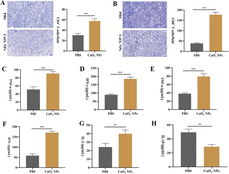 https://cdn.ncbi.nlm.nih.gov/pmc/blobs/f0d5/10775804/606e347b296b/IJN-19-137-g0003.jpg