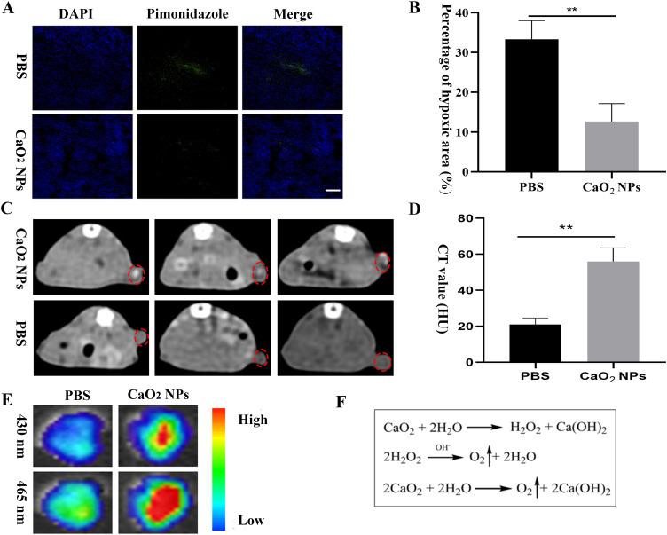 https://cdn.ncbi.nlm.nih.gov/pmc/blobs/f0d5/10775804/bdb054842cee/IJN-19-137-g0001.jpg