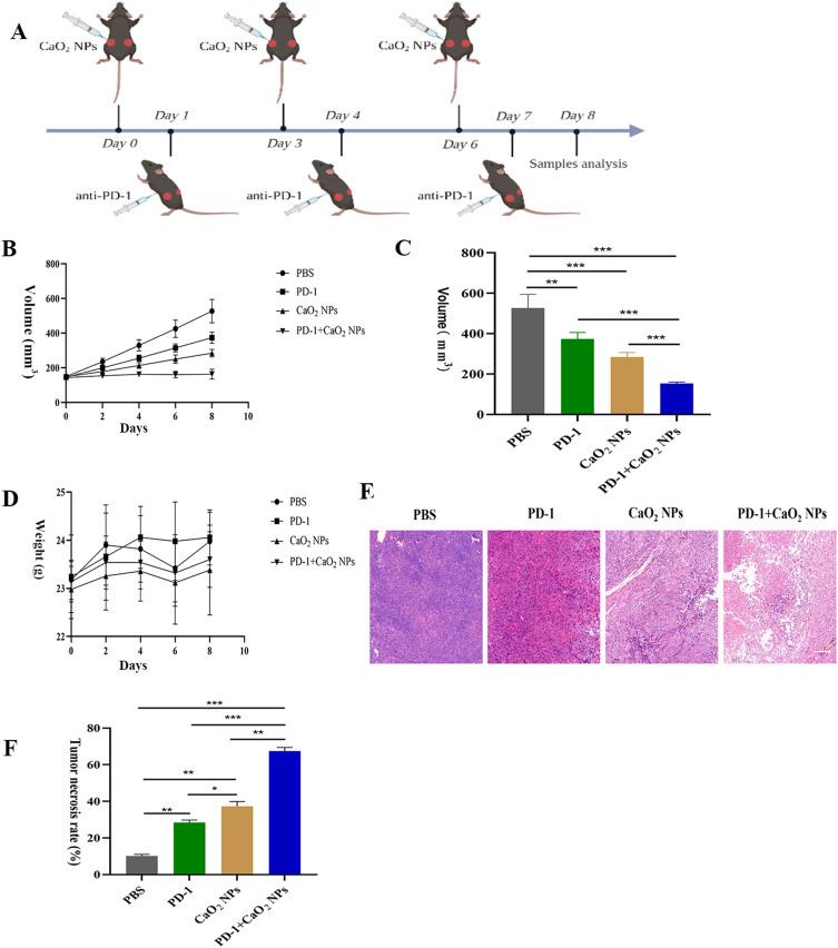 https://cdn.ncbi.nlm.nih.gov/pmc/blobs/f0d5/10775804/da3f2c912741/IJN-19-137-g0004.jpg