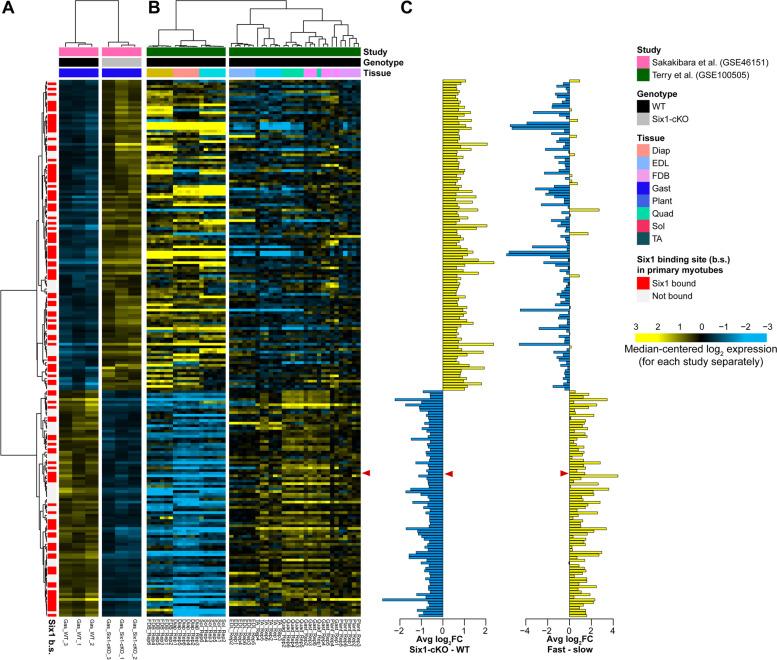 https://cdn.ncbi.nlm.nih.gov/pmc/blobs/f0d5/8607597/4b216e9c1b44/13395_2021_281_Fig1_HTML.jpg