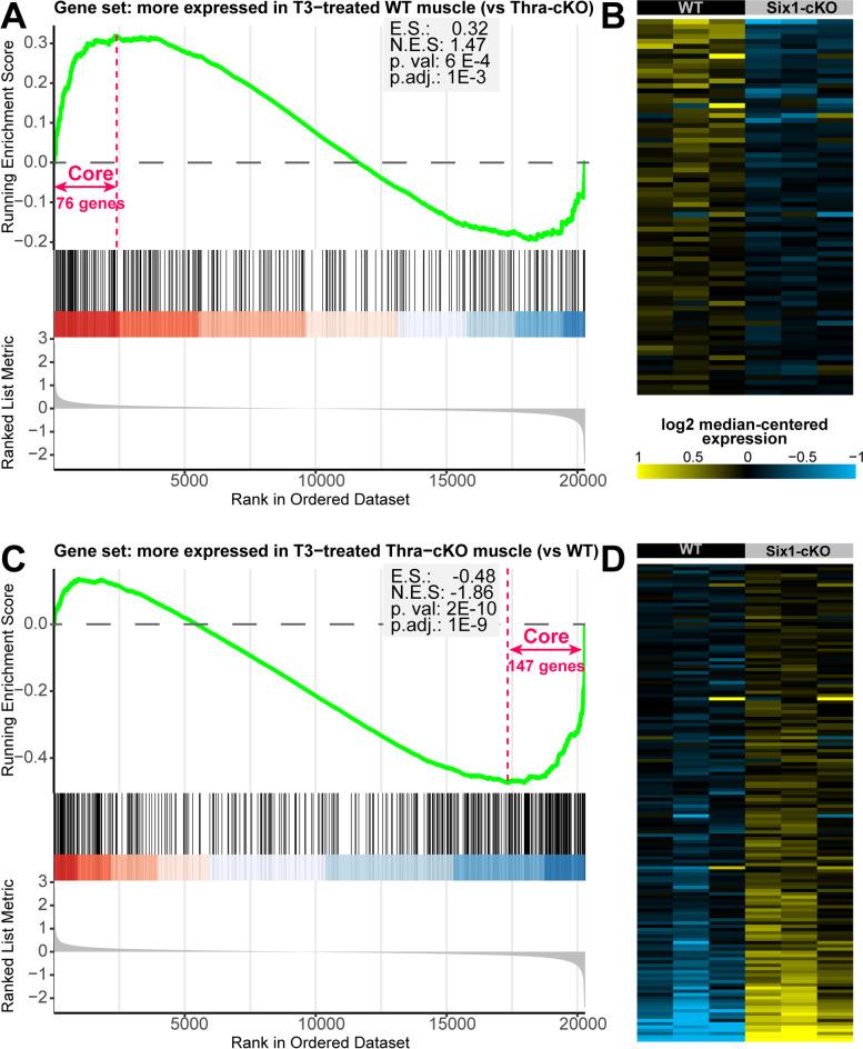 https://cdn.ncbi.nlm.nih.gov/pmc/blobs/f0d5/8607597/d16e74d87bdf/13395_2021_281_Fig7_HTML.jpg