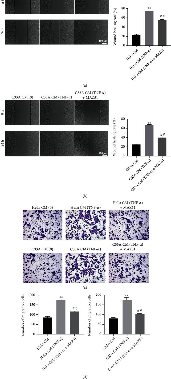 https://cdn.ncbi.nlm.nih.gov/pmc/blobs/f0da/10147529/44a0529cb4a2/MI2023-5679966.003.jpg