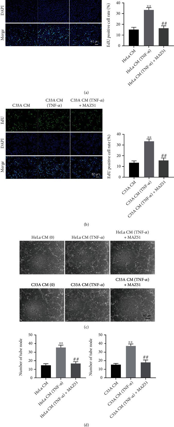 https://cdn.ncbi.nlm.nih.gov/pmc/blobs/f0da/10147529/4c543349d1f8/MI2023-5679966.002.jpg