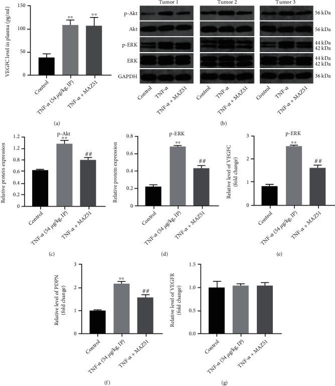 https://cdn.ncbi.nlm.nih.gov/pmc/blobs/f0da/10147529/b9404a936293/MI2023-5679966.006.jpg
