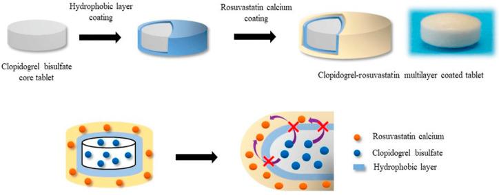https://cdn.ncbi.nlm.nih.gov/pmc/blobs/f0da/12196896/2f60ea3863a4/pharmaceutics-17-00784-g002.jpg