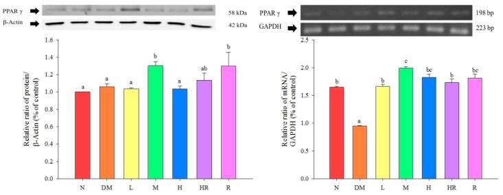 https://cdn.ncbi.nlm.nih.gov/pmc/blobs/f0da/6331796/9a367e557e7b/molecules-20-19831-g003.jpg
