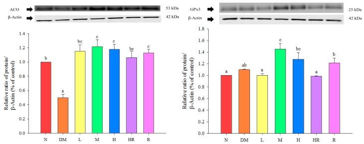 https://cdn.ncbi.nlm.nih.gov/pmc/blobs/f0da/6331796/a46de4bb823a/molecules-20-19831-g001.jpg