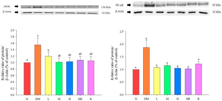 https://cdn.ncbi.nlm.nih.gov/pmc/blobs/f0da/6331796/a538ec1b55d5/molecules-20-19831-g002.jpg