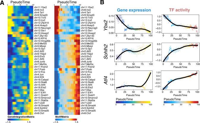 https://cdn.ncbi.nlm.nih.gov/pmc/blobs/f0db/10174692/ccaa1cfa338a/elife-75624-fig4-figsupp2.jpg