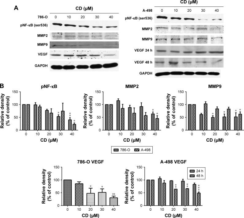 https://cdn.ncbi.nlm.nih.gov/pmc/blobs/f0db/6217210/5eac32e58d20/ott-11-7679Fig7.jpg