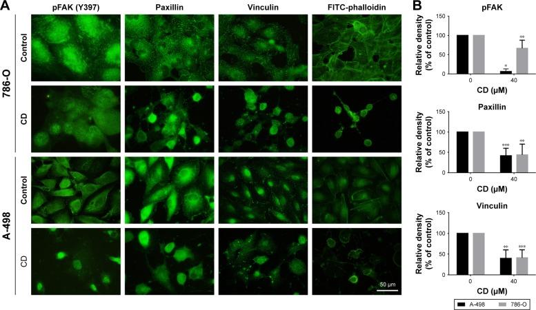 https://cdn.ncbi.nlm.nih.gov/pmc/blobs/f0db/6217210/b8da3b15f9c1/ott-11-7679Fig5.jpg