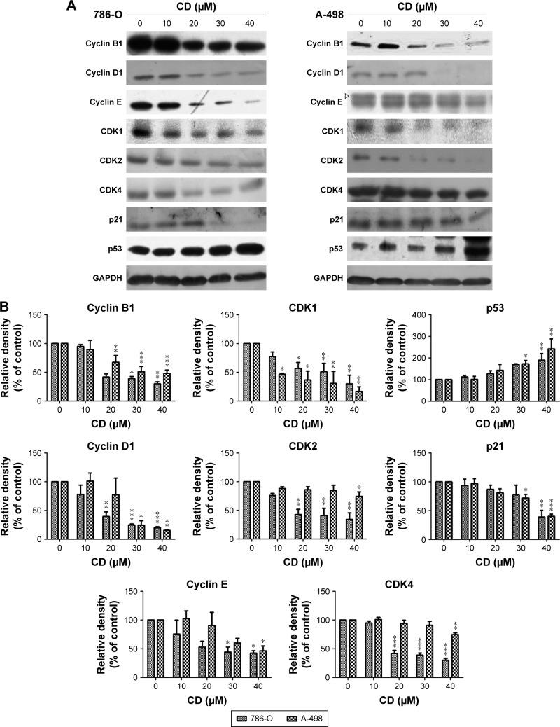 https://cdn.ncbi.nlm.nih.gov/pmc/blobs/f0db/6217210/c26169c99e71/ott-11-7679Fig3.jpg