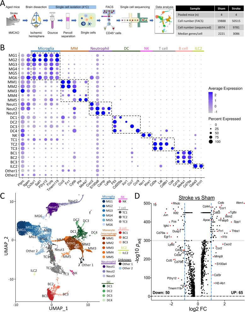 https://cdn.ncbi.nlm.nih.gov/pmc/blobs/f0db/8988369/98af2a49d28e/12974_2022_2447_Fig2_HTML.jpg