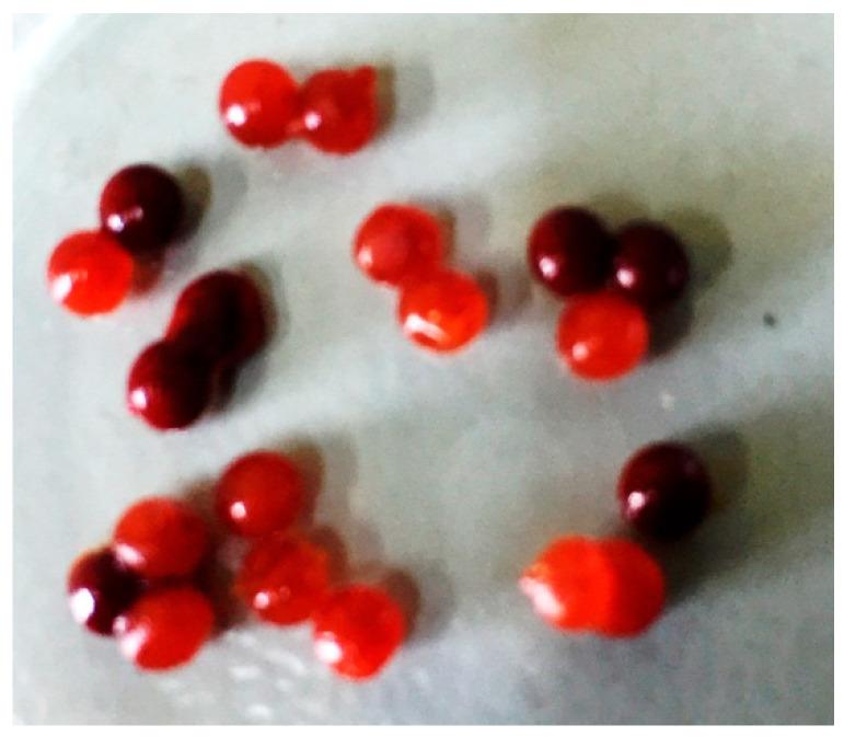 https://cdn.ncbi.nlm.nih.gov/pmc/blobs/f0dd/7962180/95e29a52d9e8/molecules-26-01455-g001.jpg