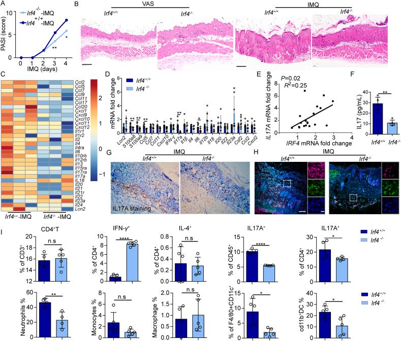 https://cdn.ncbi.nlm.nih.gov/pmc/blobs/f0de/12278431/156ab33cc65b/gr2.jpg