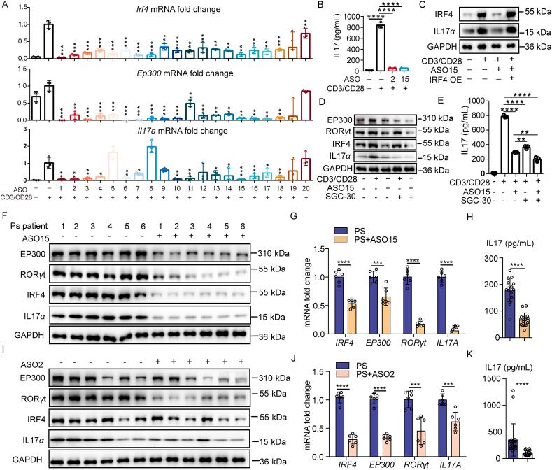 https://cdn.ncbi.nlm.nih.gov/pmc/blobs/f0de/12278431/52c336a01571/gr5.jpg
