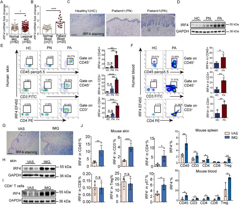 https://cdn.ncbi.nlm.nih.gov/pmc/blobs/f0de/12278431/b010a49cb64a/gr1.jpg