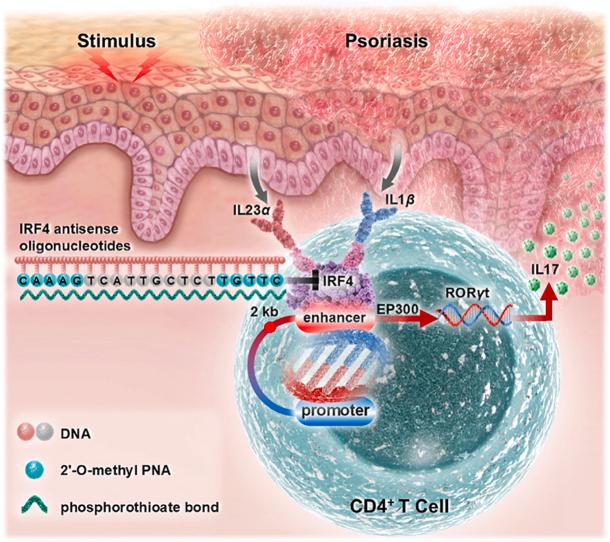 https://cdn.ncbi.nlm.nih.gov/pmc/blobs/f0de/12278431/d7075e94063c/ga1.jpg