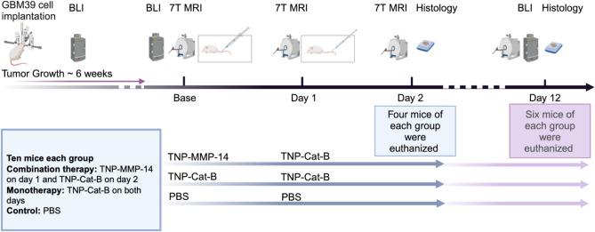 https://cdn.ncbi.nlm.nih.gov/pmc/blobs/f0e0/12009400/3c67ba6ca45d/41598_2025_97775_Fig2_HTML.jpg
