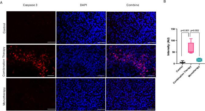 https://cdn.ncbi.nlm.nih.gov/pmc/blobs/f0e0/12009400/3cb2c87de1aa/41598_2025_97775_Fig10_HTML.jpg