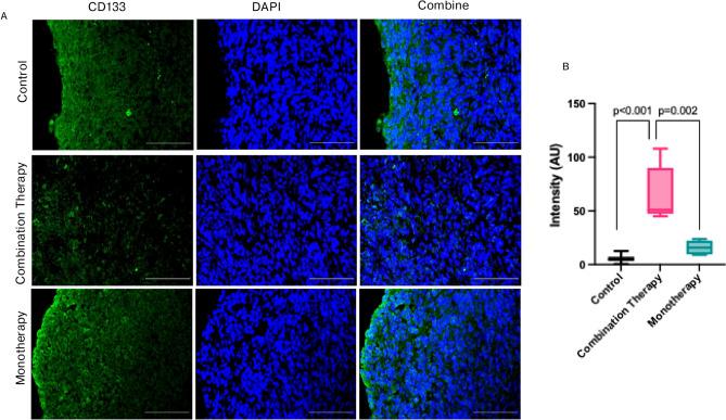 https://cdn.ncbi.nlm.nih.gov/pmc/blobs/f0e0/12009400/740ad73323b8/41598_2025_97775_Fig12_HTML.jpg