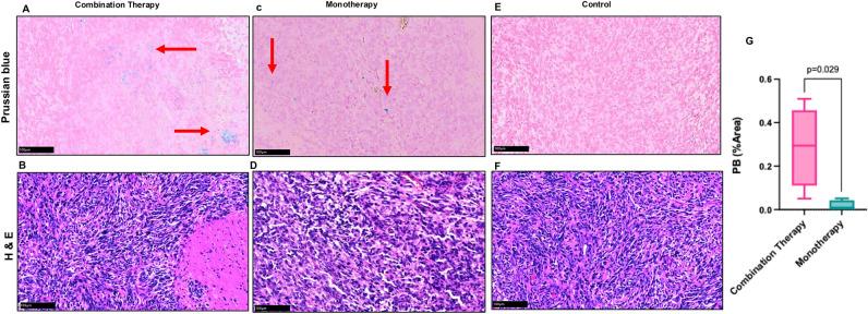 https://cdn.ncbi.nlm.nih.gov/pmc/blobs/f0e0/12009400/d0115f37fe9c/41598_2025_97775_Fig9_HTML.jpg