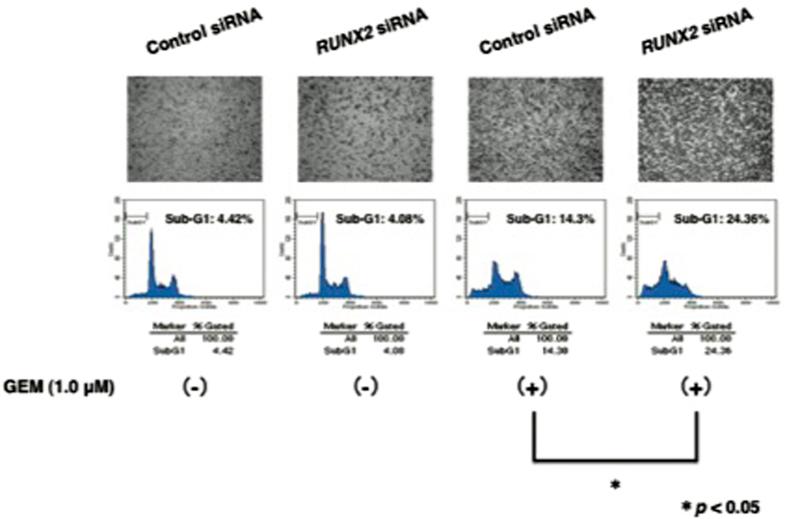 https://cdn.ncbi.nlm.nih.gov/pmc/blobs/f0e3/4981025/300b9533295c/cddiscovery201510-f5.jpg