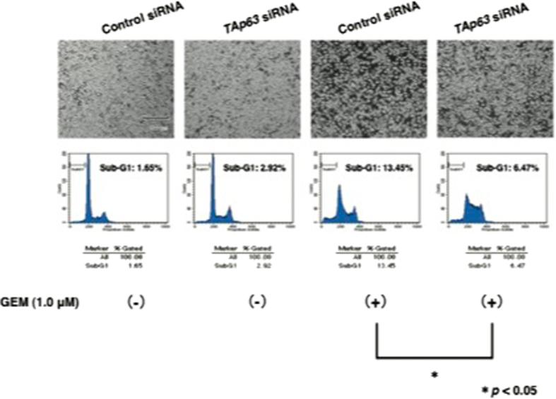 https://cdn.ncbi.nlm.nih.gov/pmc/blobs/f0e3/4981025/a22967e5868e/cddiscovery201510-f3.jpg