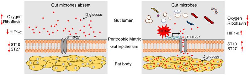 https://cdn.ncbi.nlm.nih.gov/pmc/blobs/f0e5/11331112/2d77d39c49cd/pnas.2410889121fig06.jpg